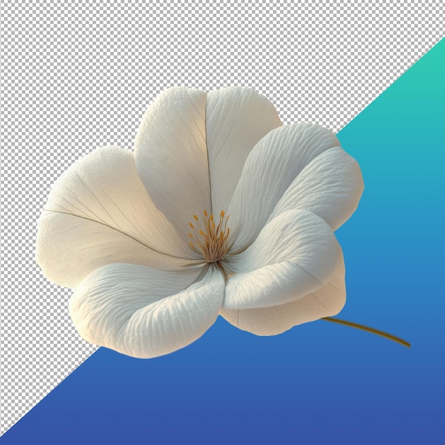 white fluffy flower