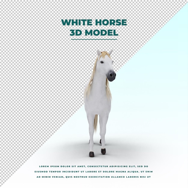 White horse poses