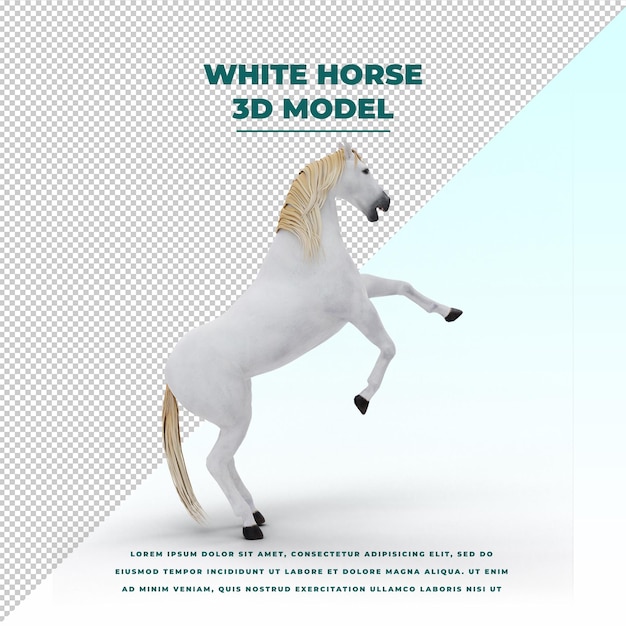 PSD white horse poses