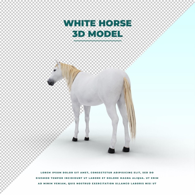 PSD white horse poses