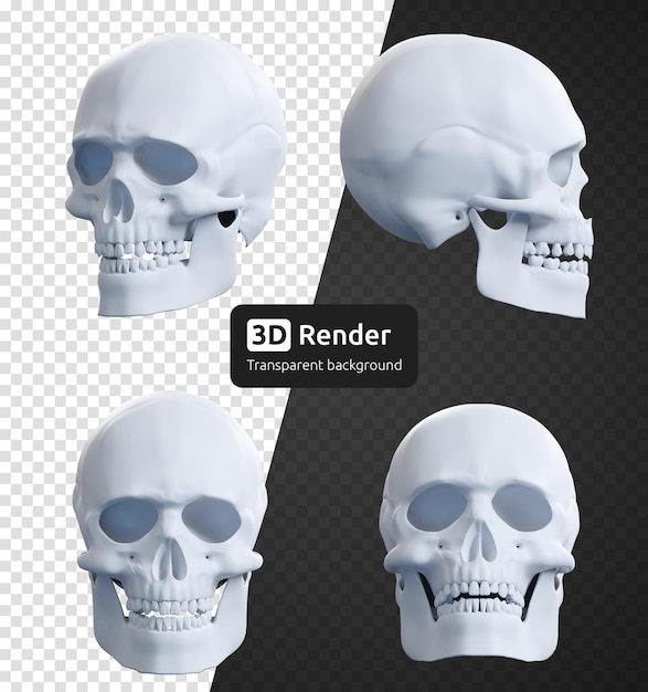 PSD white human skull 3d render isolated