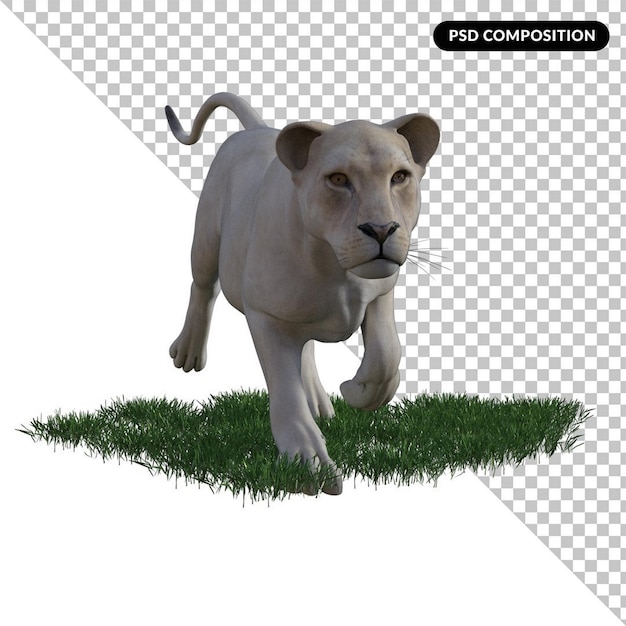 PSD white lion isolated 3d