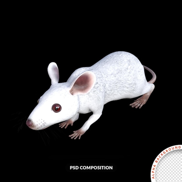 PSD white mouse 3d rendering