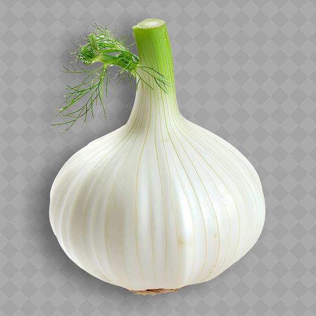 PSD a white onion with a green stem and a label that says  garlic