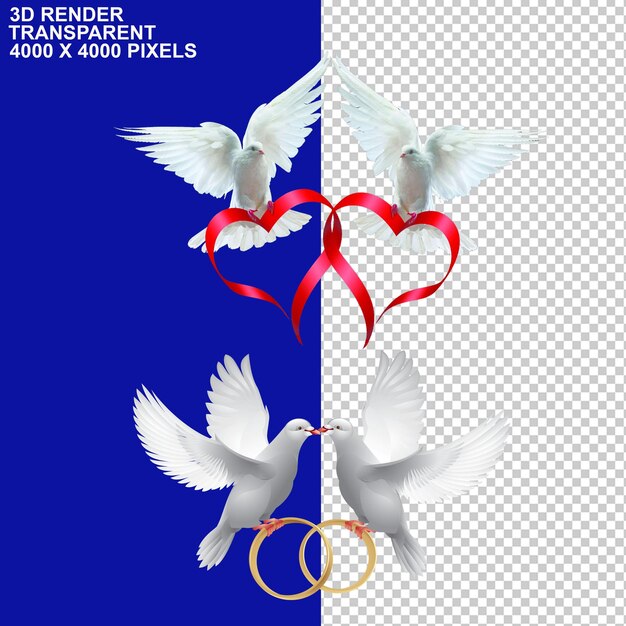 PSD white pigoen pigoen couple birds dove symbol of peace peaceful birds golden wings fire crackers