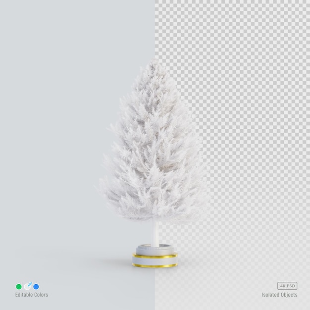 White pine tree isolated