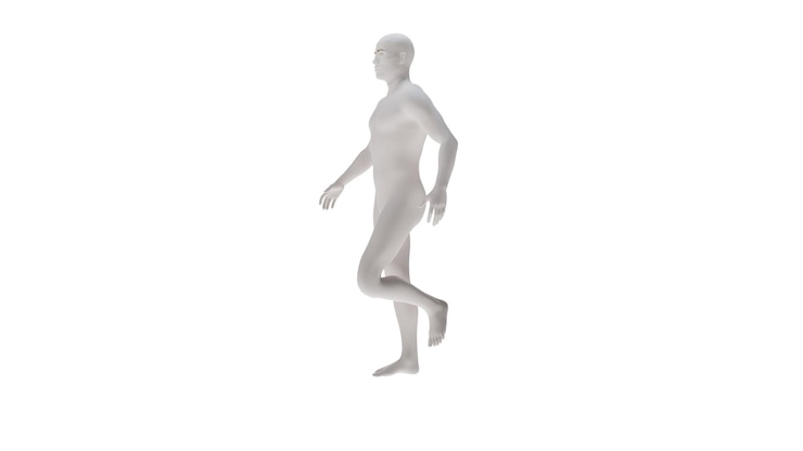 PSD 白いプラスチック 高解像度概念的な人間の3d解剖体 3dイラストを分離した