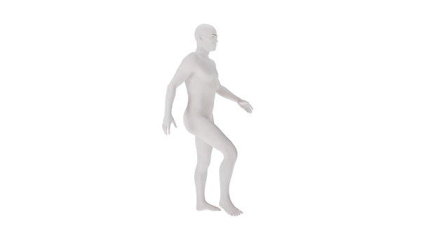 white plastic high resolution conceptual human 3d anatomy body 3d illustration isolated