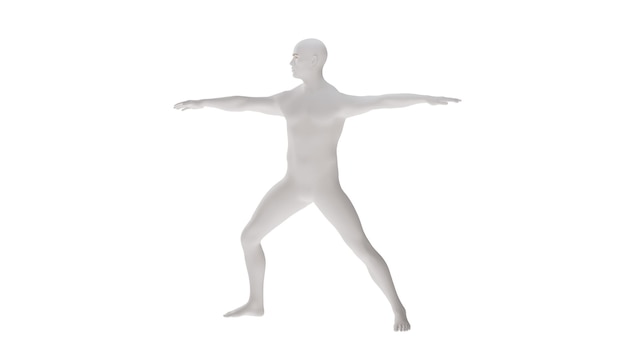 white plastic high resolution conceptual human 3d anatomy body 3d illustration isolated