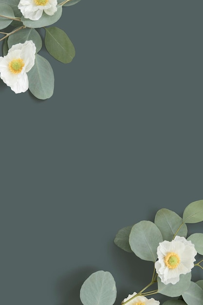 PSD white poppy with eucalyptus leaves background