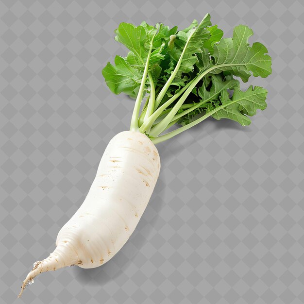 PSD a white radish with green leaves and a white background