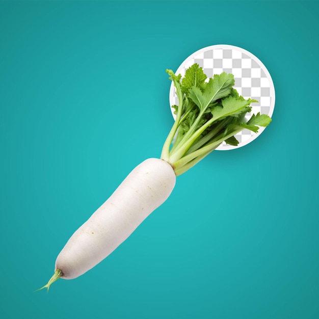 PSD white radish