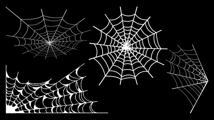 PSD white spider web silhouettes on black background vector halloween design