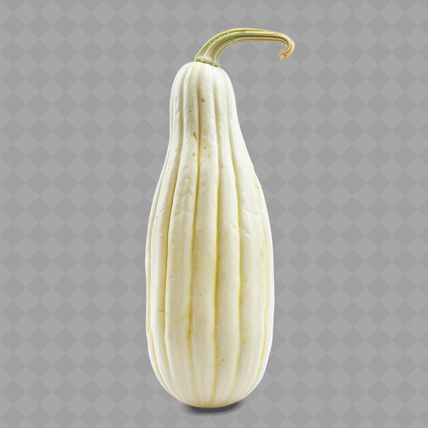 PSD a white squash with the word melon on it