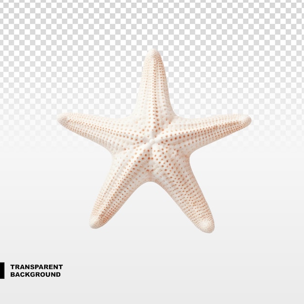 PSD white starfish on transparent background