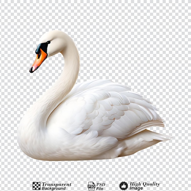 PSD white swan isolated on transparent background