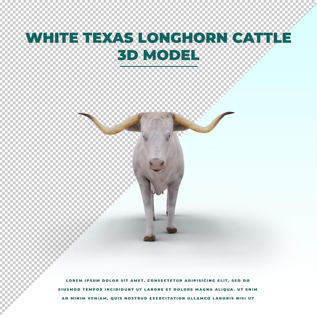 PSD white texas longhorn cattle isolated