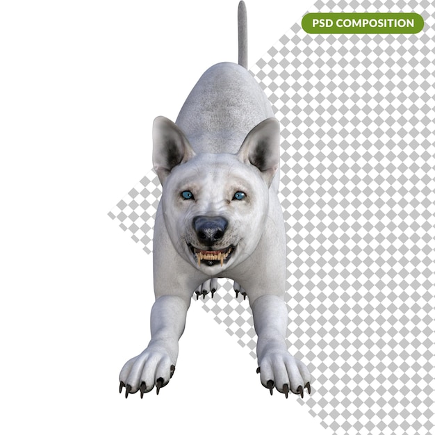 PSD lupo bianco isolato rendering 3d