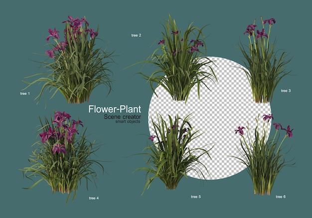 Un'ampia varietà di fiori e piante di varie forme