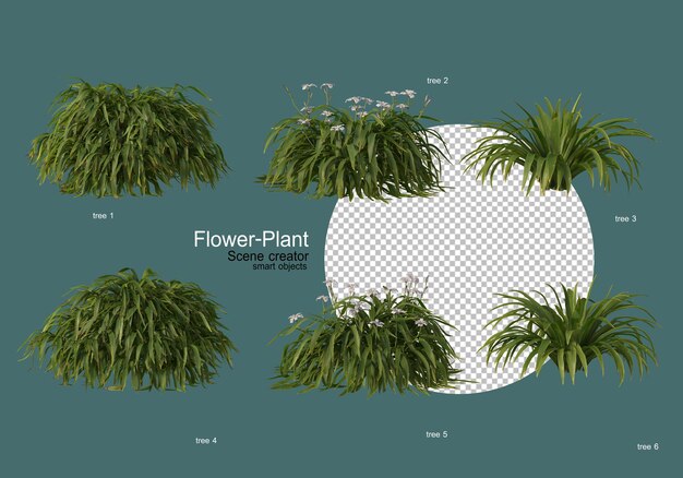 さまざまな形の花や植物の多種多様