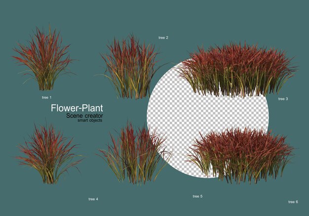 Un'ampia varietà di fiori e piante di varie forme