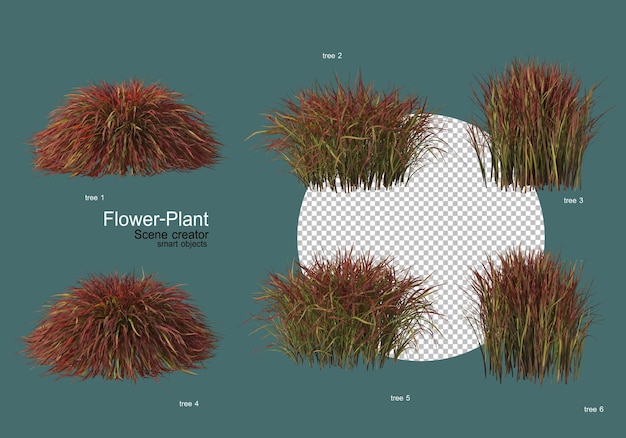 Un'ampia varietà di fiori e piante di varie forme