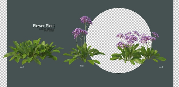 Un'ampia varietà di fiori e piante