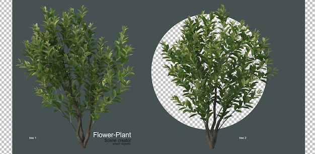 多種多様な花や植物
