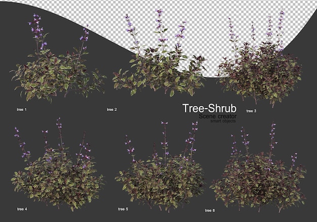 PSD Рендеринг самых разнообразных деревьев и кустарников