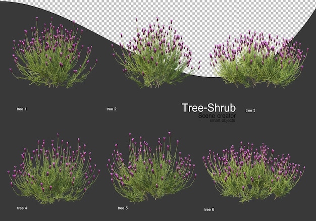 PSD 多種多様な樹木や低木のレンダリング