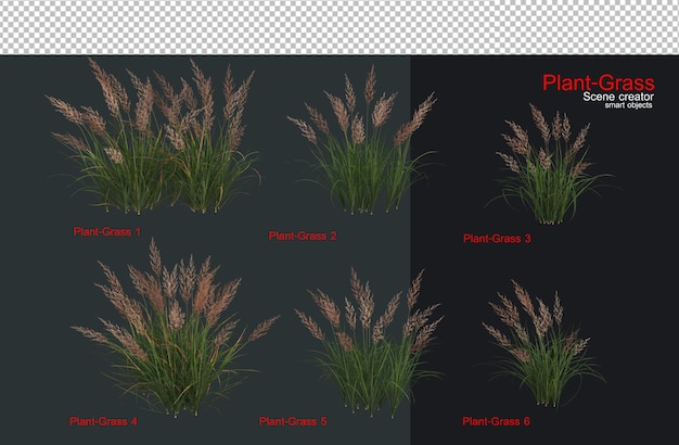 PSD a wide variety of plants and grasses