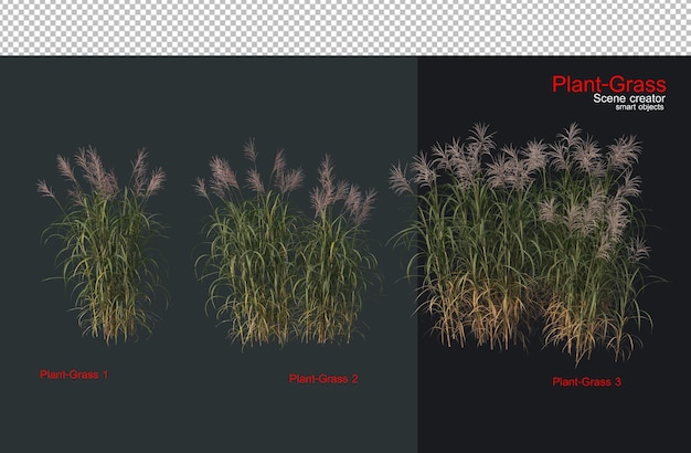 PSD a wide variety of plants and grasses