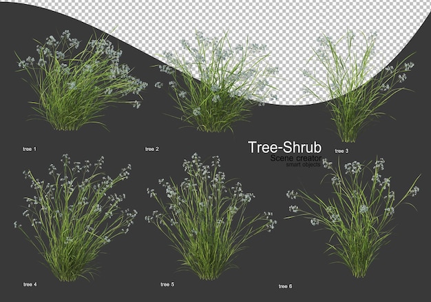 Ampia varietà di rendering di alberi e arbusti