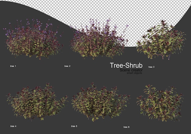 Ampia varietà di rendering di alberi e arbusti