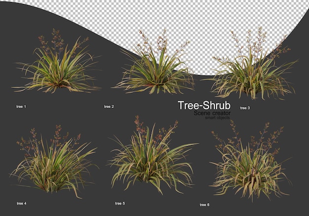 Ampia varietà di rendering di alberi e arbusti