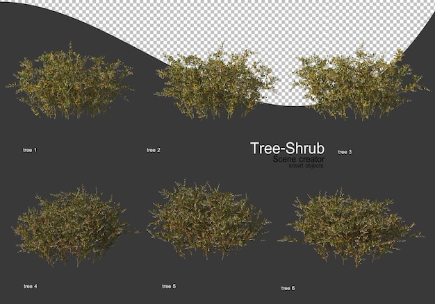 Wide variety of trees and shrubs rendering