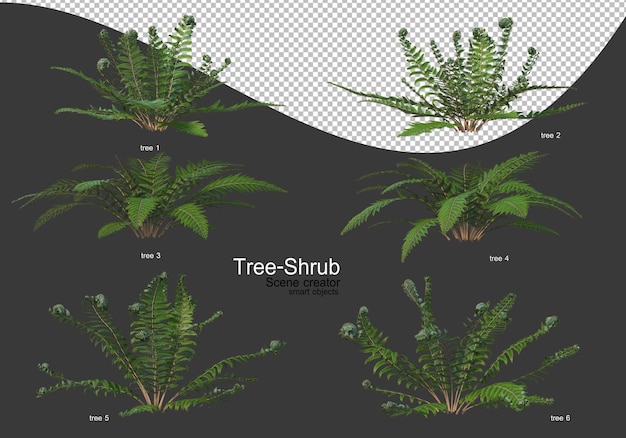 Wide variety of trees and shrubs rendering