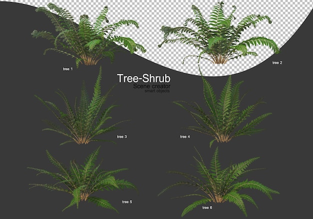 Ampia varietà di rendering di alberi e arbusti