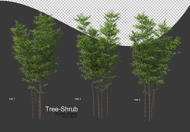 Ampia varietà di rendering di alberi e arbusti