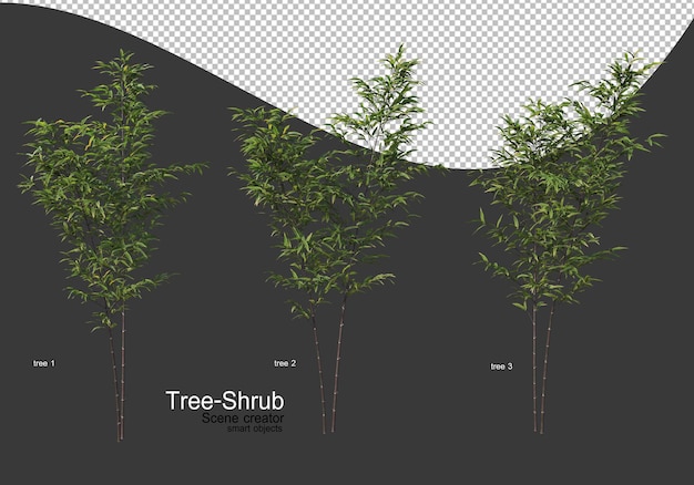 Ampia varietà di rendering di alberi e arbusti