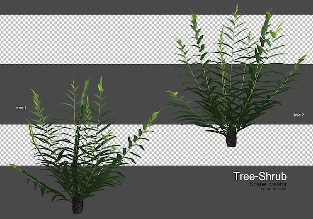 A wide variety of trees and shrubs