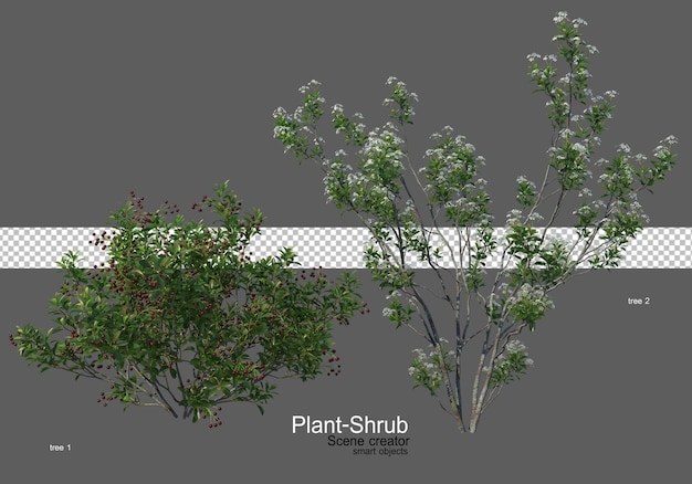 PSD a wide variety of trees and shrubs