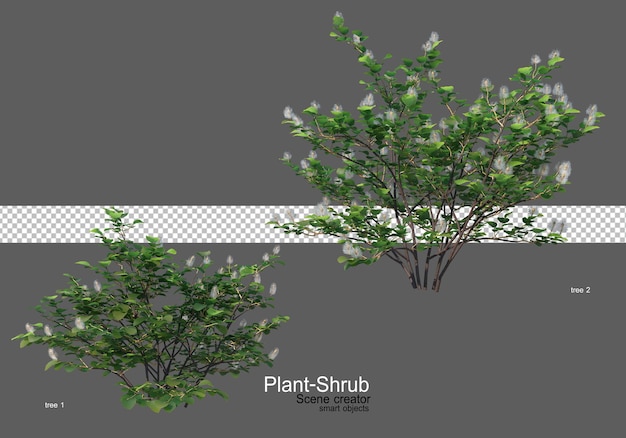 Un'ampia varietà di alberi e arbusti