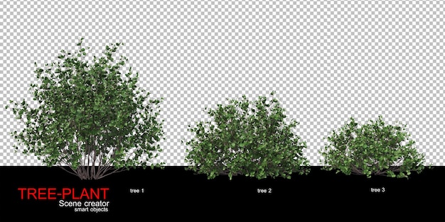 Un'ampia varietà di alberi e arbusti