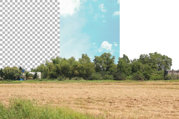 Widok tropikalnej wioski z przezroczystym tłem