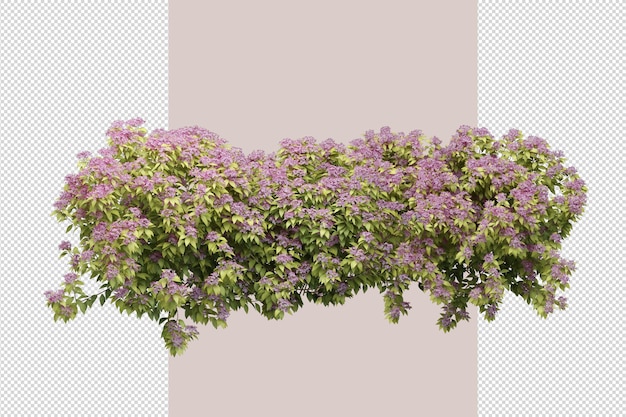 Widok z góry kwiaty w renderowaniu 3d na białym tle