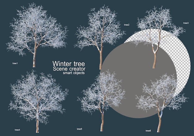 PSD wiele rodzajów drzew zimą