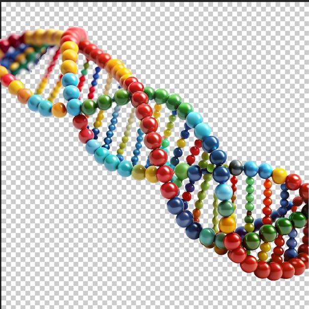 PSD wielokolorowe dna wyizolowane na białym tle