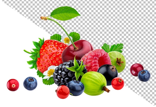 PSD wild berries isolated on white background with clipping path