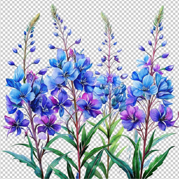 PSD wild blue flower on transparent background